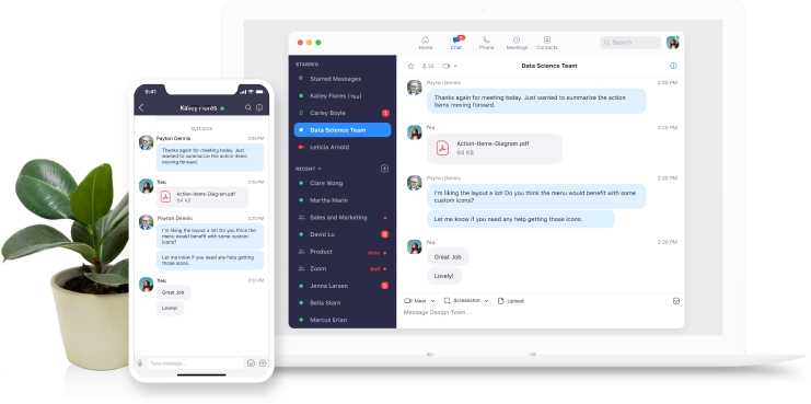 Zoom chat
